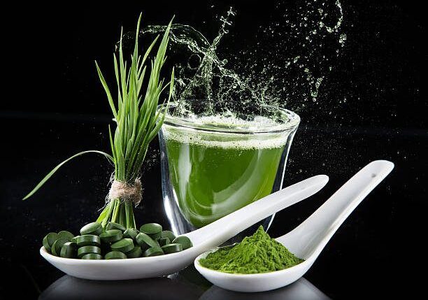 Wheatgrass o Pasto de Trigo, Propiedades y Beneficios