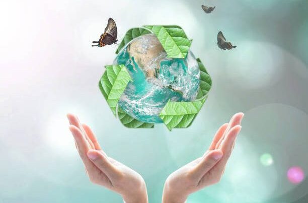 Aprende cómo reciclar en tres simples pasos