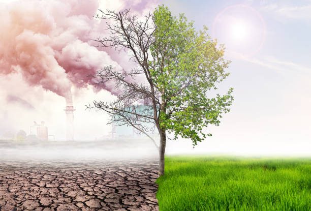 El Calentamiento Global en Alerta Máxima